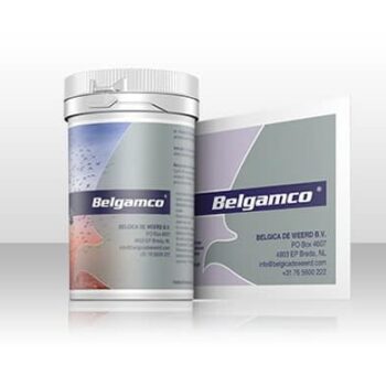 Belgamco Powder