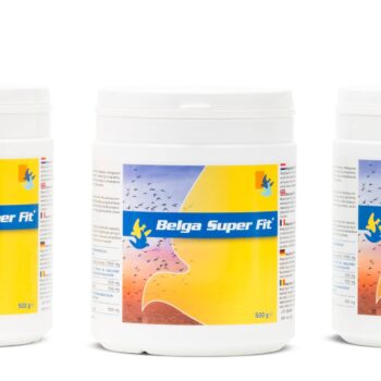 Belgica de Weerd Belga Super Fit®