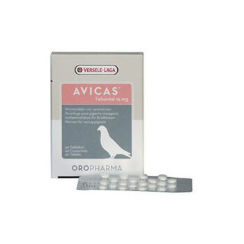 Avicas