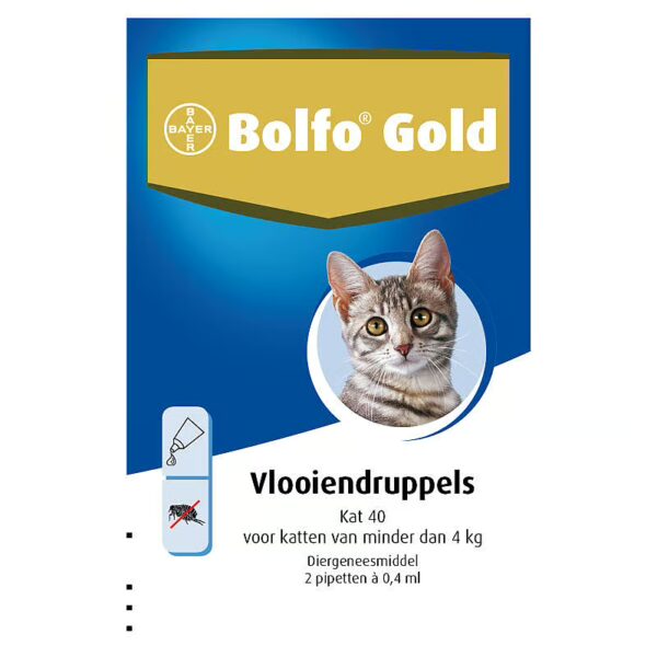 Bolfo Gold Kat – Bild 4